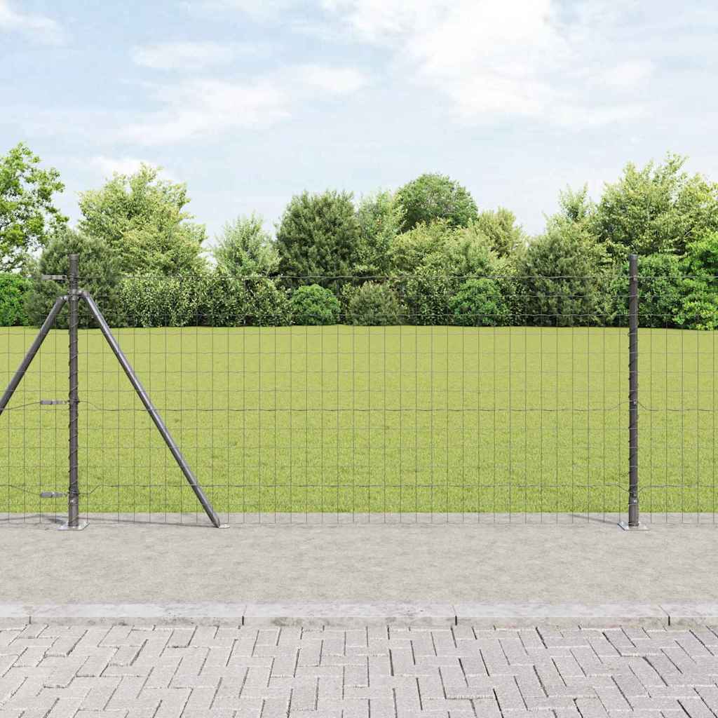 Euro-Zaun mit Betonsockel 10 x 0,8 m PVC-beschichteter Stahl