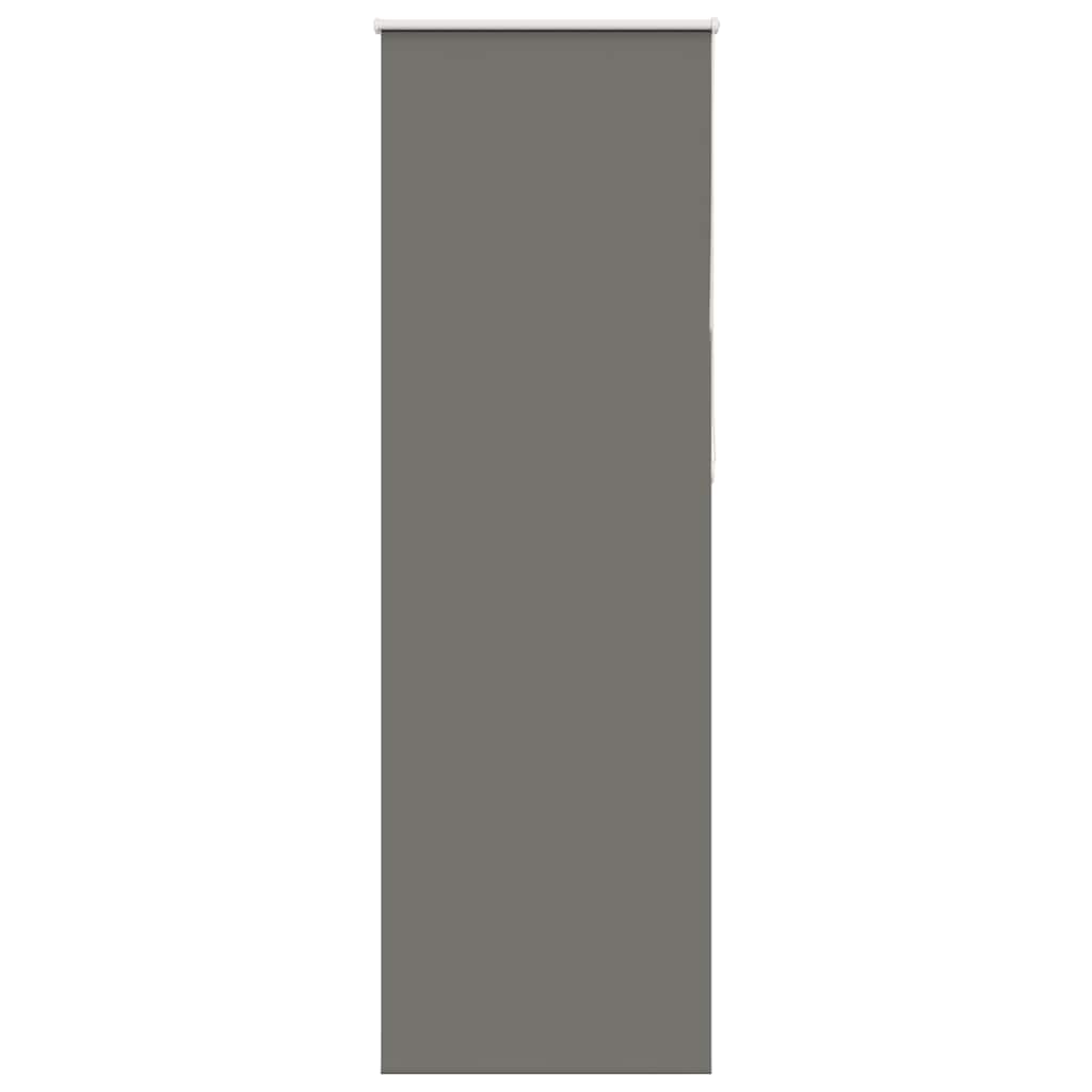 Verdunkelungsrollo Grau 75x210 cm Stoffbreite 70,7 cm Polyester