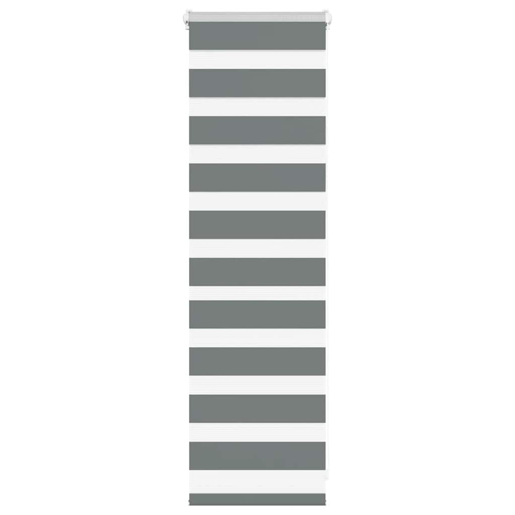 Doppelrollo Dunkelgrau 50x100 cm Stoffbreite 45,9 cm Polyester