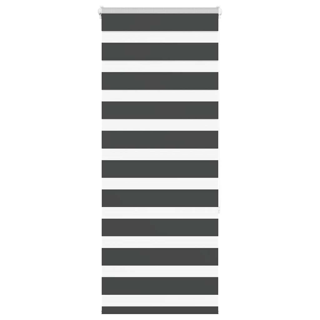 Doppelrollo Schwarz 55x150 cm Stoffbreite 50,9 cm Polyester