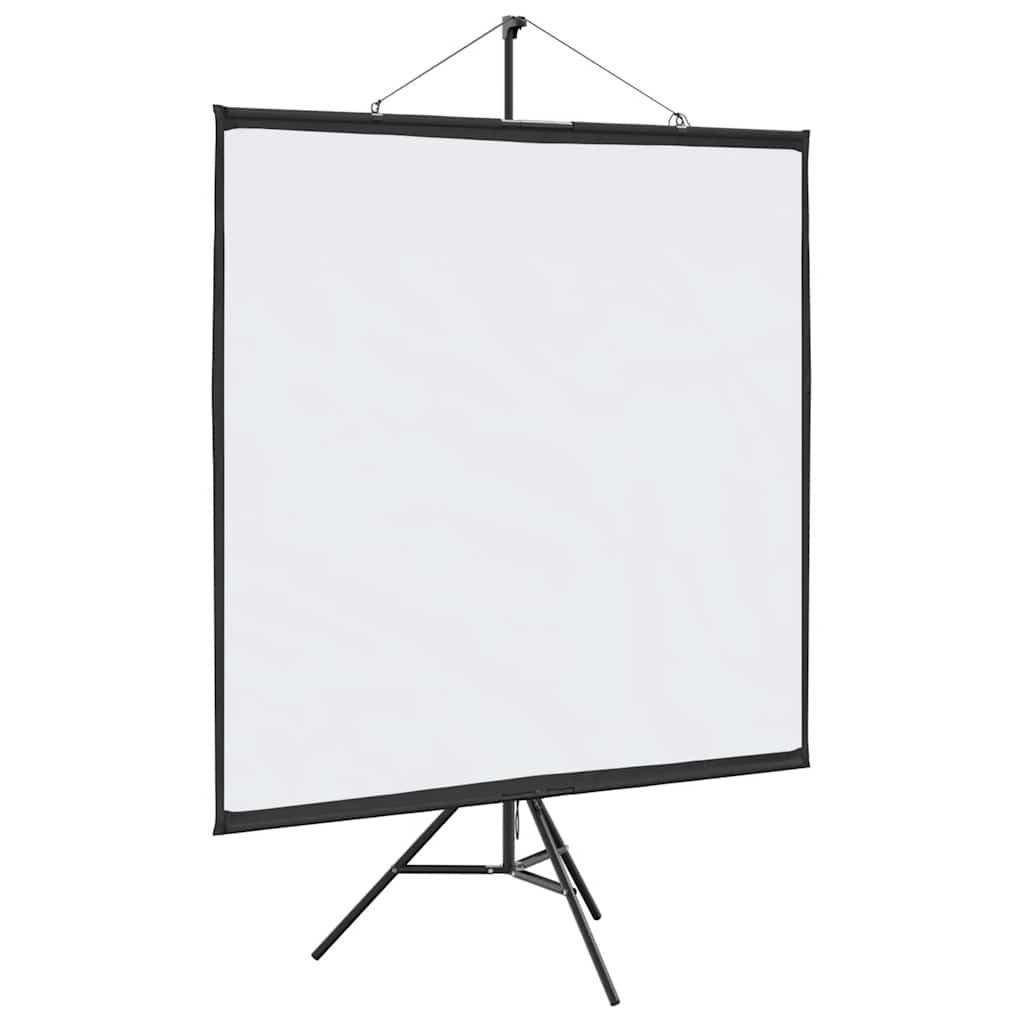 Projektionsleinwand mit Stativ 67 Zoll 1:1