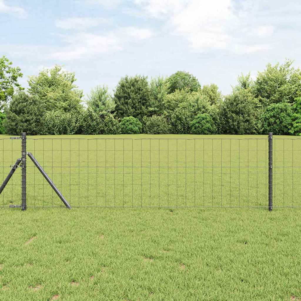 Eurozaun 0,8 x 10 m PVC-beschichtetes Eisen Grau