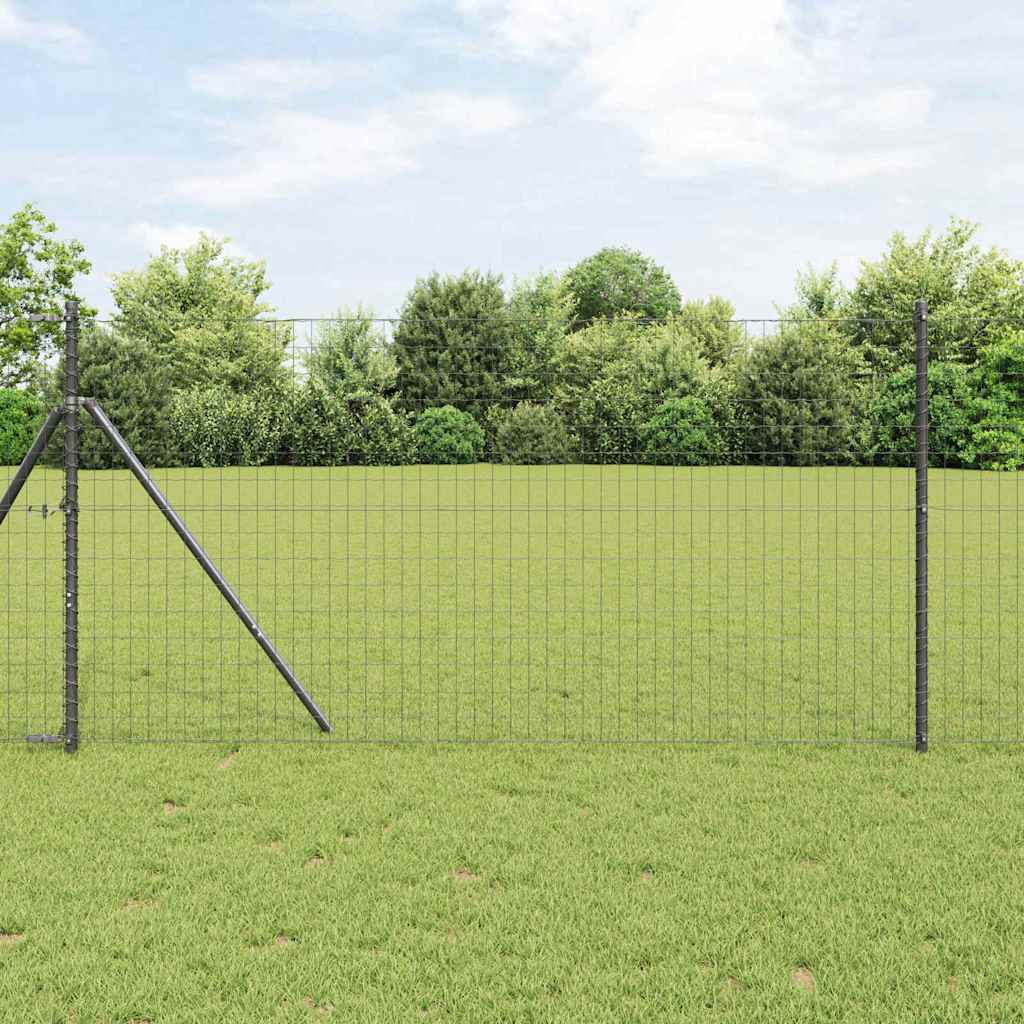 Eurozaun 1 x 25 m PVC-beschichtetes Eisen Grau