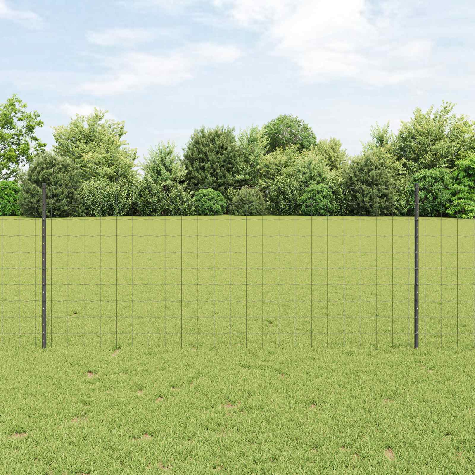 Euro-Zaun mit Pfosten 10 x 1 m PVC-beschichteter Stahl Grau