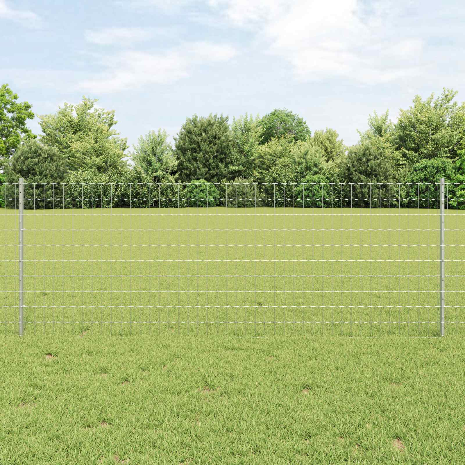 Euro-Zaun mit Pfosten 10 x 0,8 m Verzinkter Stahl Silber Netz
