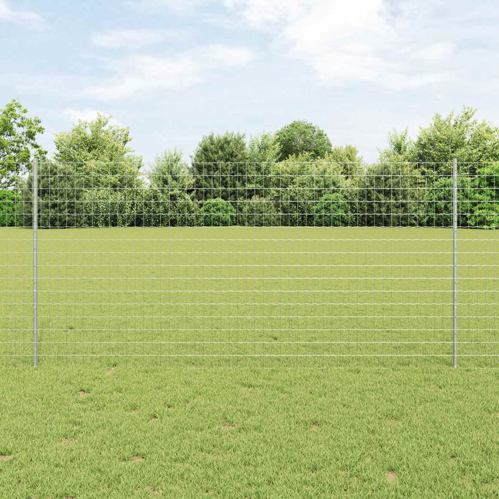 Euro-Zaun mit Pfosten 10 x 1,2 m Verzinkter Stahl Silber Netz