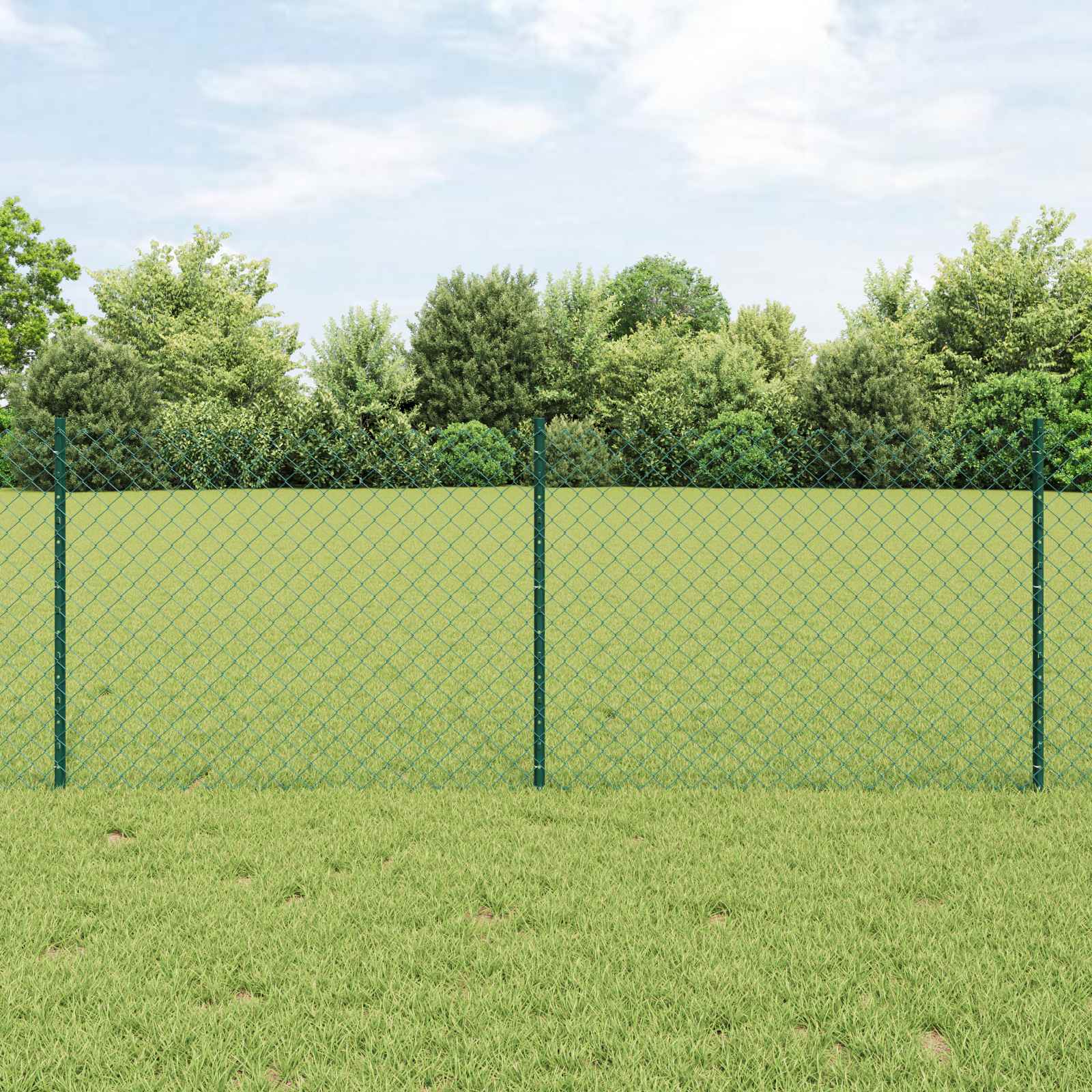 Maschendrahtzaun mit Pfosten 25 x 0,8 m PVC-beschichteter Stahl