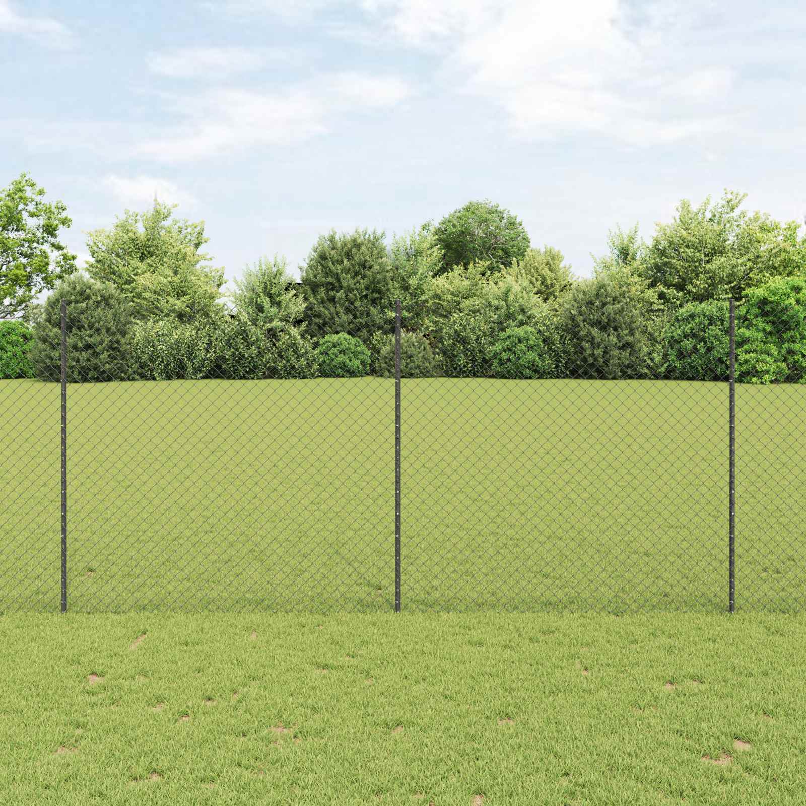 Maschendrahtzaun mit Pfosten 10 x 1,4 m PVC-beschichteter Stahl