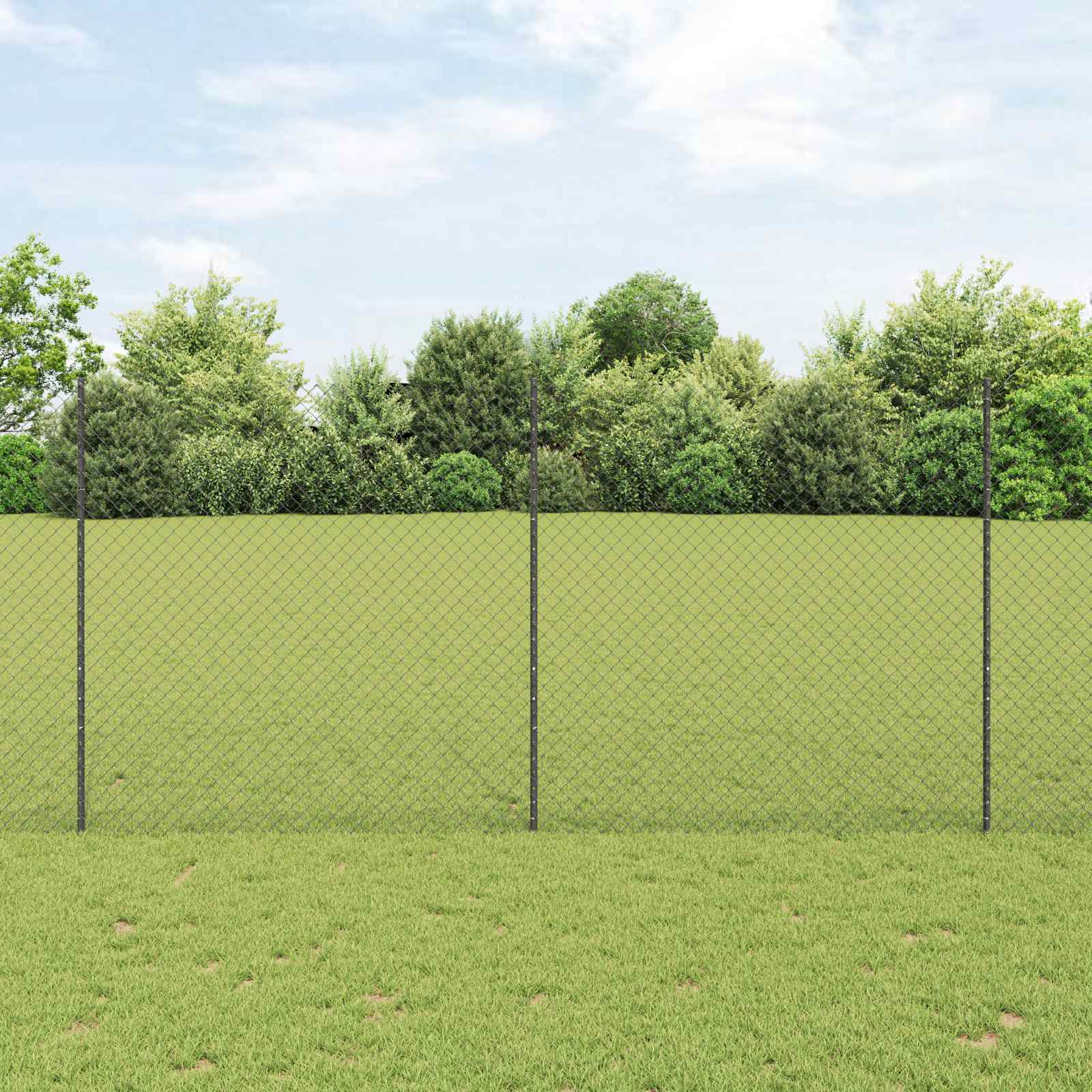Maschendrahtzaun mit Pfosten 10 x 1,6 m PVC-beschichteter Stahl