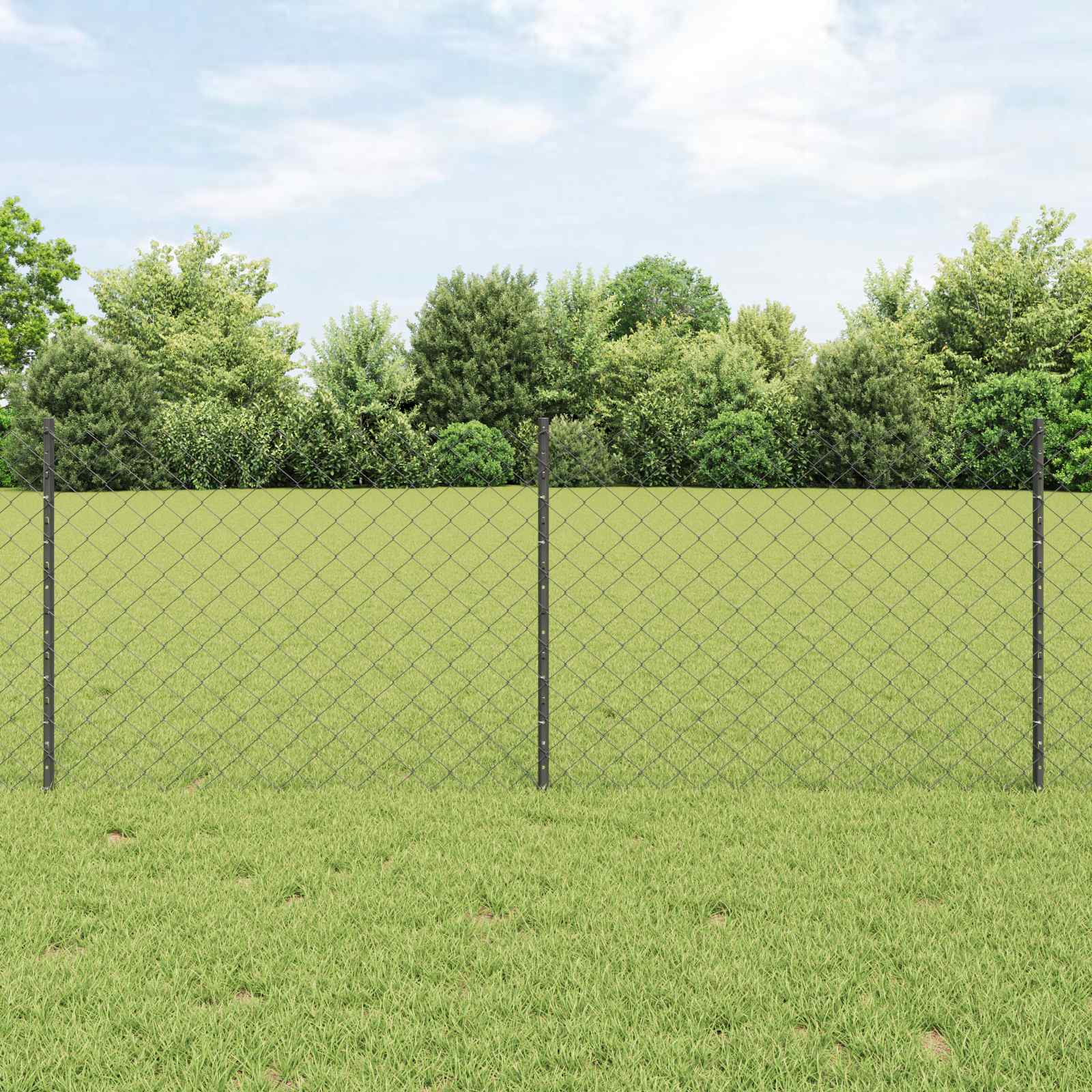 Maschendrahtzaun mit Pfosten 10 x 0,8 m PVC-beschichteter Stahl