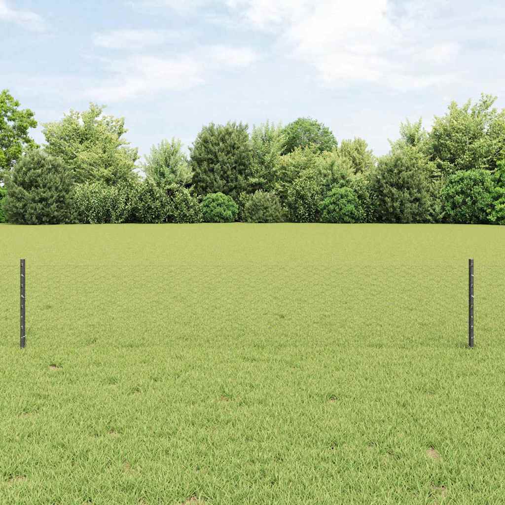 Sechseckzaun mit Pfosten 10 x 0,4 m PVC-beschichteter Stahl