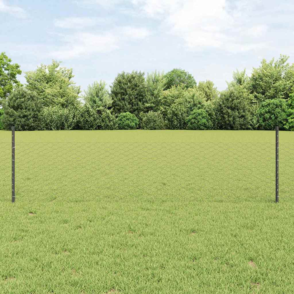 Sechseckzaun mit Pfosten 100 x 0,5 m PVC-beschichteter Stahl