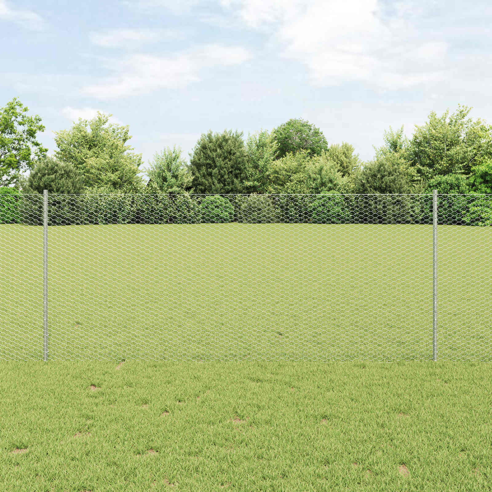 Sechseckzaun mit Pfosten 25 x 1 m Verzinkter Stahl Silber Netz
