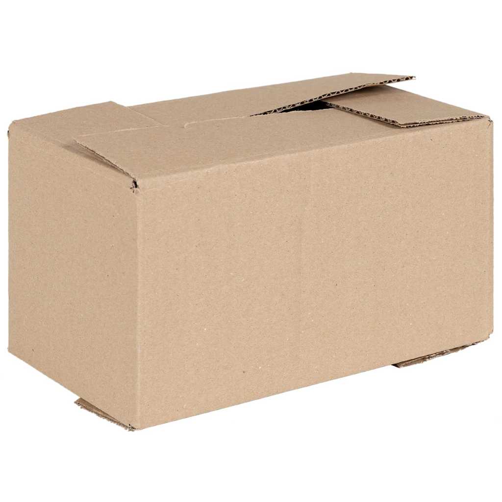 Faltbox mit Speicher 50 Stk. Natur 24 x 13 x 13 cm Karton