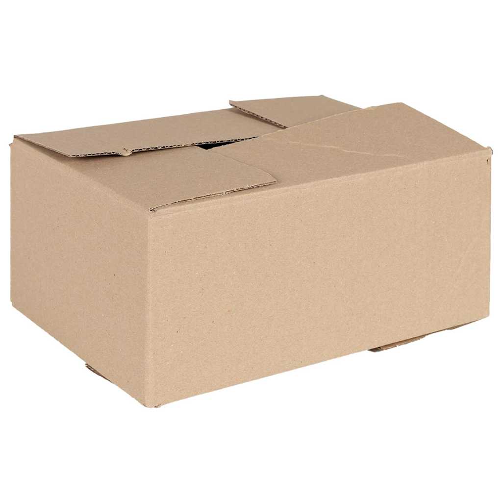 Faltbox mit Speicher 50 Stk. Natur 30 x 21,5 x 14 cm Karton
