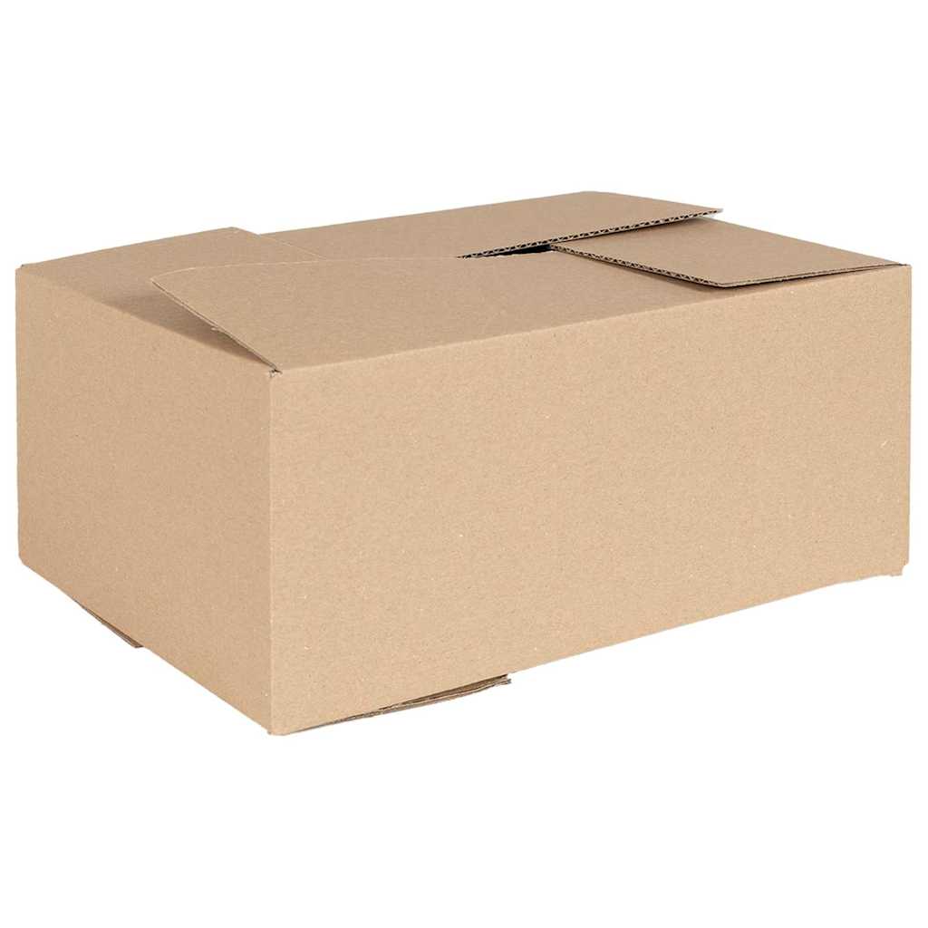 Faltbox mit Speicher 50 Stk. Natur 35 x 24 x 15 cm Karton