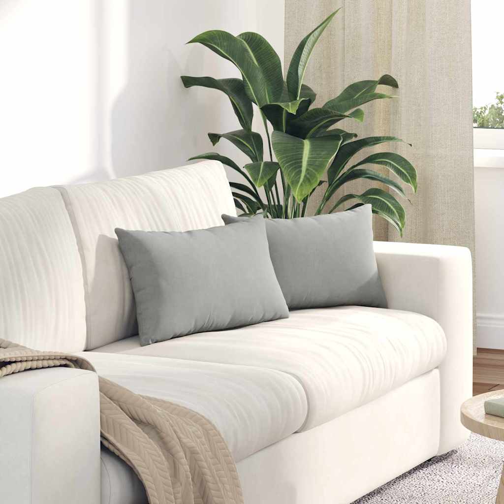 Sofakissen 2 stk. Stoff Hellgrau 50 x 30 cm
