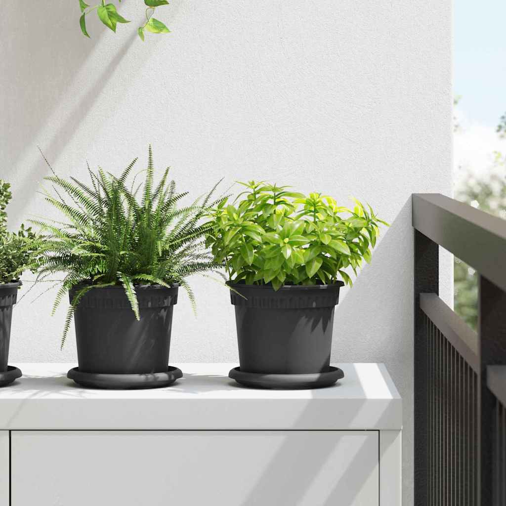 Runde Blumenplatte 24 stk. Schwarz Ø 14 x 2 cm Kunststoff