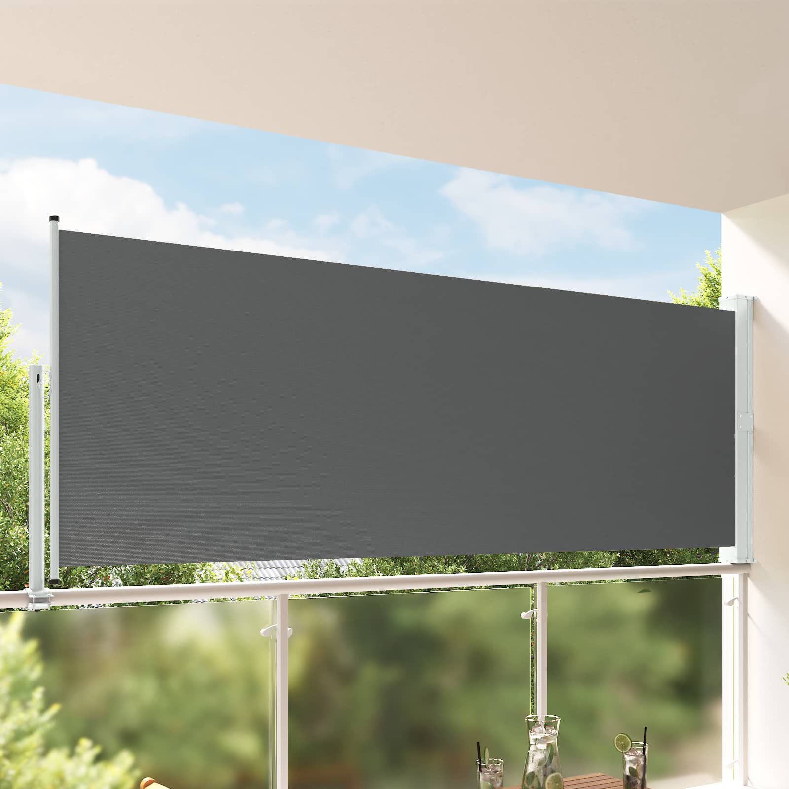 Seitenmarkise 160 x 300 cm Rechteckig Anthrazit