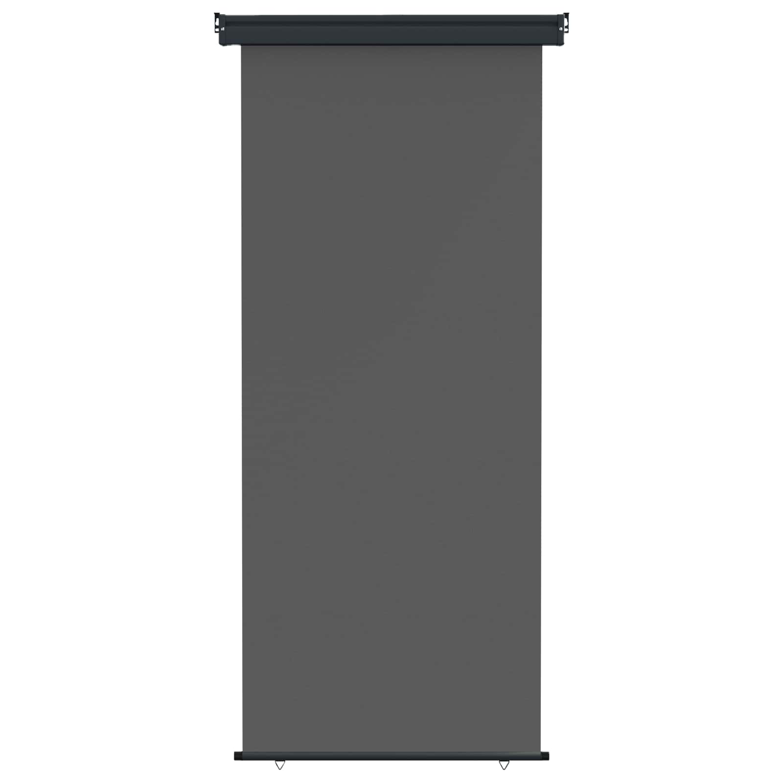 Balkon Seitenmarkise 80 x 250 cm 100% Polyester Eisen Stahl