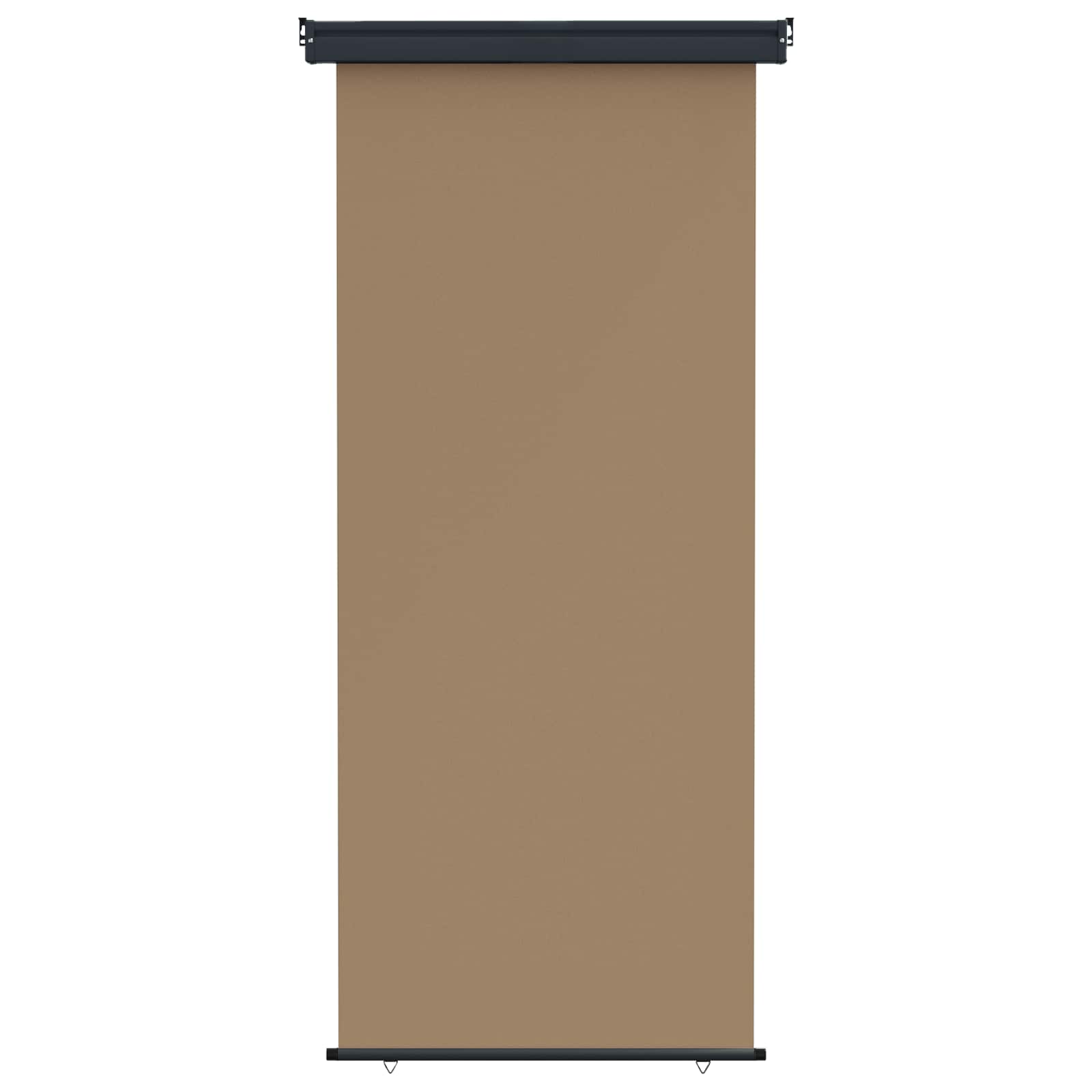 Balkon Seitenmarkise 100 x 250 cm 100% Polyester Eisen Stahl
