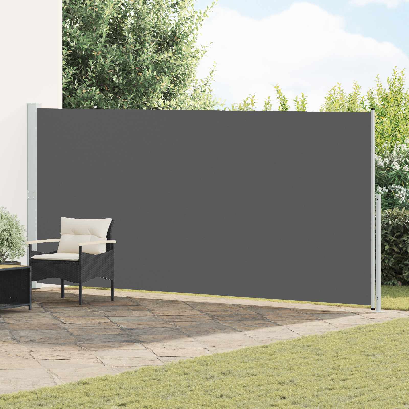 Ausziehbare Seitenmarkise 220 x 300 cm Polyester Rechteckig