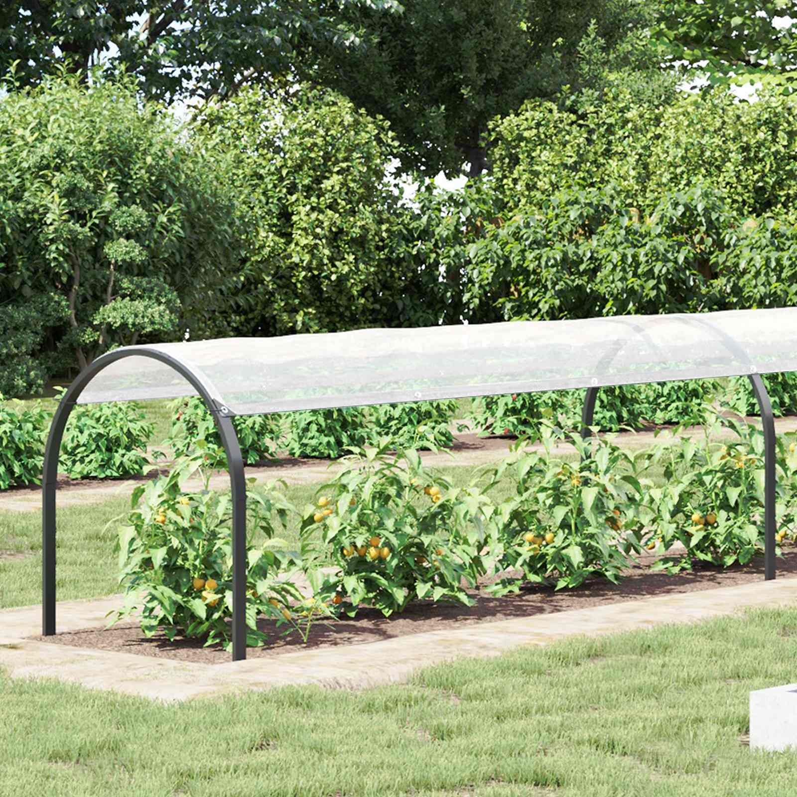 Pflanzenabdeckung Transparent 10 x 1,5 m PE