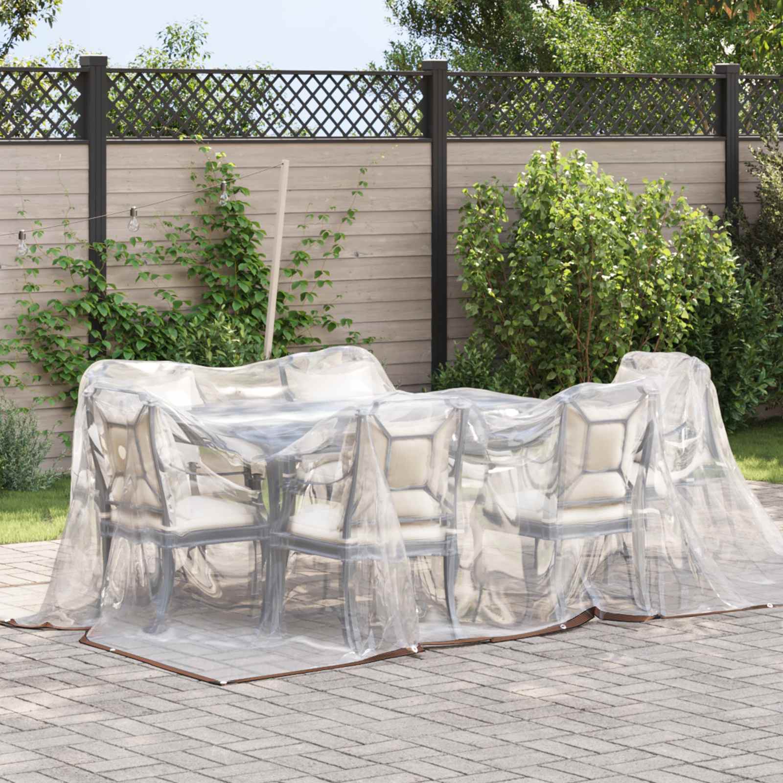 Pflanzenabdeckung Transparent 2 x 2 m PE