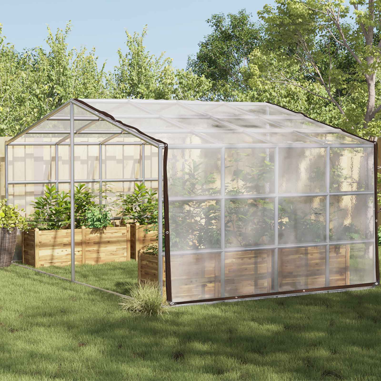 Pflanzenabdeckung Transparent 4 x 12 m PE