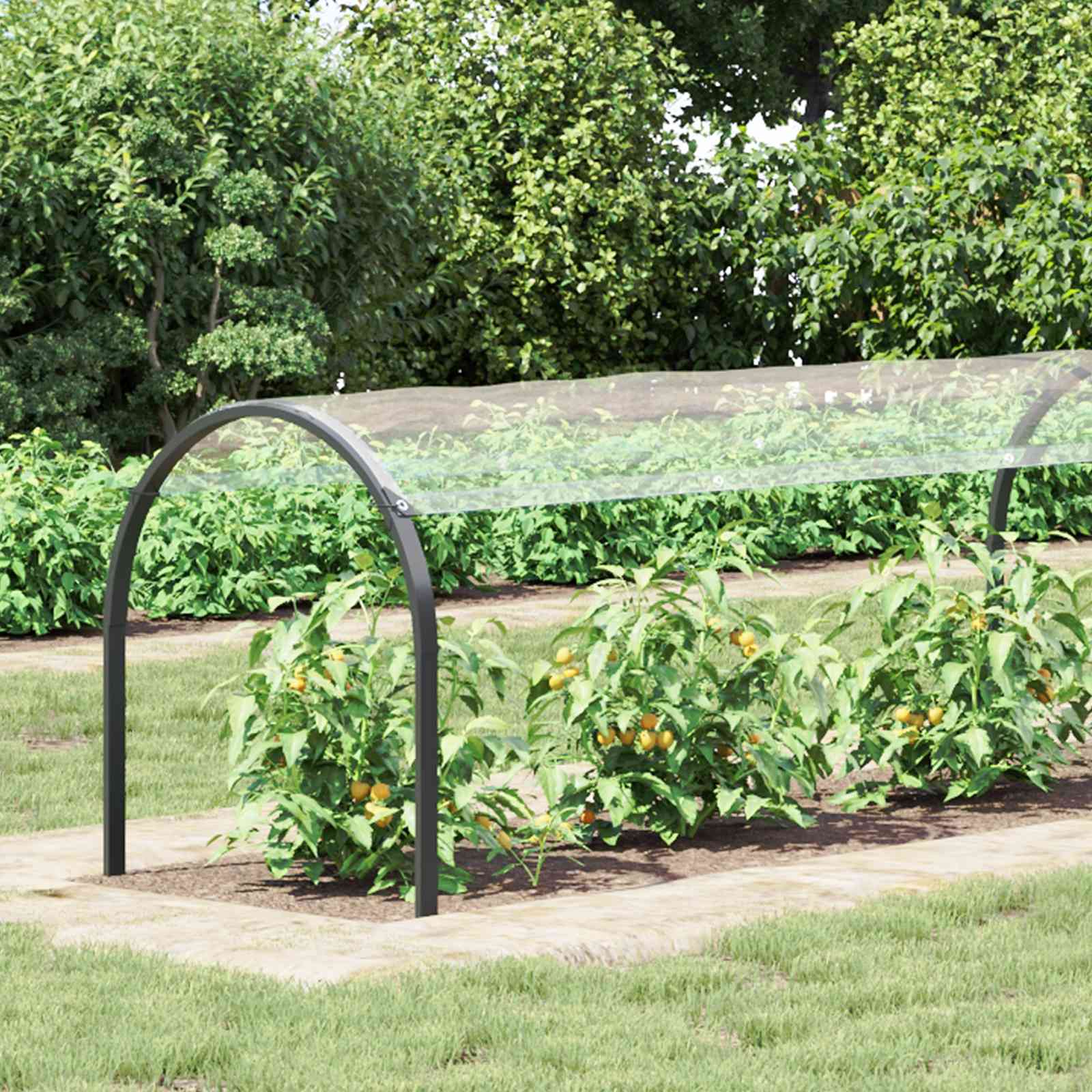 Pflanzenabdeckung Transparent 10 x 1,5 m PVC
